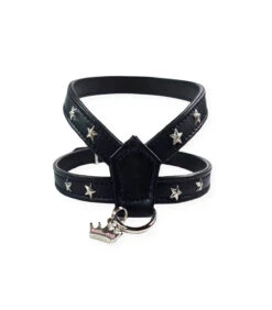 060 Harnais En Cuir Noir Avec étoiles Argentées Estilfordog