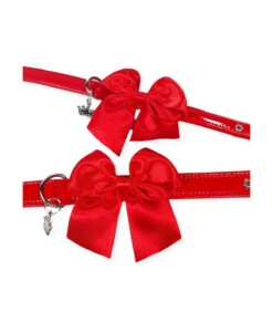 151 Collier En Vernis Rouge Avec Nœud En Satin Estilfordog -Animaux Amour Promos Boutique 151 collier en vernis rouge avec noeud en satin estilfordog 4