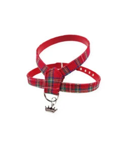 249 Harnais En Tissus écossais Rouge Estilfordog