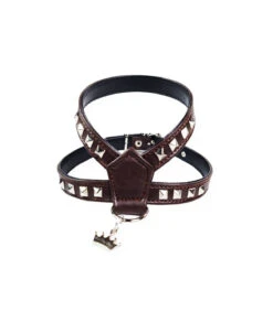 312 Harnais En Cuir Marron Avec Clous Plats Argentés Estilfordog