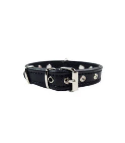 059 Collier En Cuir Noir Avec étoiles Argentées Estilfordog 11 059 Collier En Cuir Noir Avec étoiles Argentées Estilfordog -Animaux Amour Promos Boutique 444 2