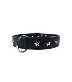 059 Collier En Cuir Noir Avec étoiles Argentées Estilfordog 14 059 Collier En Cuir Noir Avec étoiles Argentées Estilfordog -Animaux Amour Promos Boutique 444 5