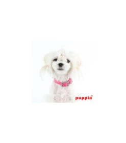 AC1436 Collier Cammeo Collar Puppia Pink -Animaux Amour Promos Boutique ac1436 collier cammeo collar puppia pink 2