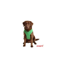 AC30 Harnais Puppia Soft Harness Green -Animaux Amour Promos Boutique ac30 harnais puppia soft harness green 2