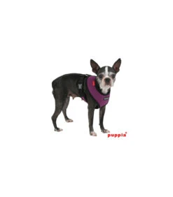 AC30 Harnais Puppia Soft Harness Purple 5 AC30 Harnais Puppia Soft Harness Purple -Animaux Amour Promos Boutique ac30 harnais puppia soft harness purple 2