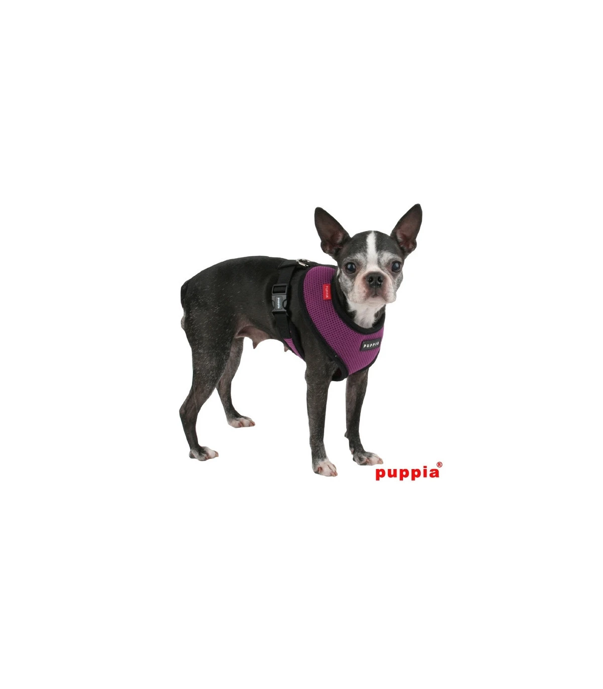AC30 Harnais Puppia Soft Harness Purple 3 AC30 Harnais Puppia Soft Harness Purple – Image 3