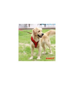AC30 Harnais Puppia Soft Harness Red 5 AC30 Harnais Puppia Soft Harness Red -Animaux Amour Promos Boutique ac30 harnais puppia soft harness red 2
