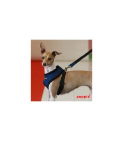 AC30 Harnais Puppia Soft Harness Royal Blue -Animaux Amour Promos Boutique ac30 harnais puppia soft harness royal blue 2