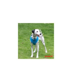 AC30 Harnais Puppia Soft Harness Sky Blue 5 AC30 Harnais Puppia Soft Harness Sky Blue -Animaux Amour Promos Boutique ac30 harnais puppia soft harness sky blue 2