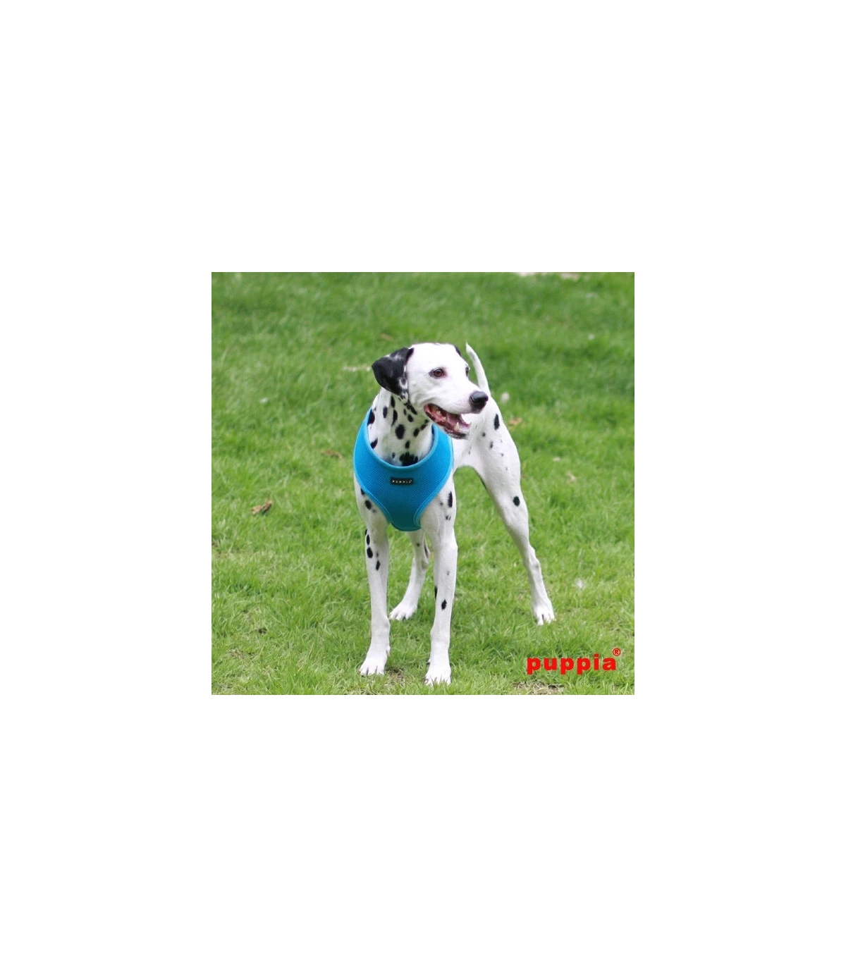 AC30 Harnais Puppia Soft Harness Sky Blue 3 AC30 Harnais Puppia Soft Harness Sky Blue – Image 3
