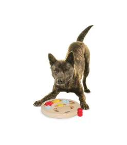 AD600 Jouet D'intelligence Pour Chien Camon -Animaux Amour Promos Boutique ad600 jouet d intelligence pour chien camon 1 2