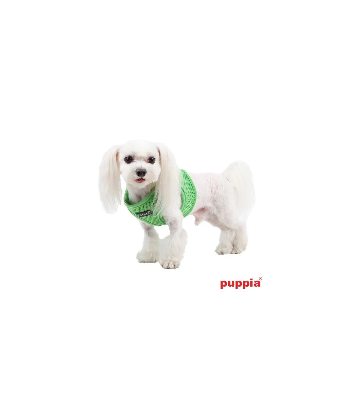 AH305 Harnais Veste Respirant Soft Green Puppia 2 AH305 Harnais Veste Respirant Soft Green Puppia – Image 2