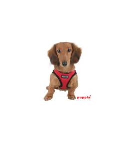 AH305 Harnais Veste Respirant Soft Red Puppia -Animaux Amour Promos Boutique ah305 harnais veste respirant soft red puppia 2