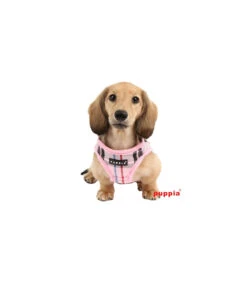 AH978 Harnais Veste Burberry S Pink Puppia 7 AH978 Harnais Veste Burberry S Pink Puppia -Animaux Amour Promos Boutique ah978 harnais veste burberry s pink puppia 3