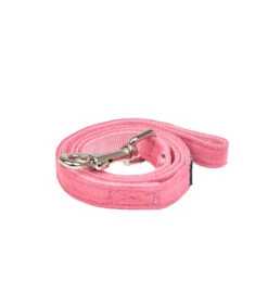AL1661 Laisse Façon Peau Peche Pink Puppia