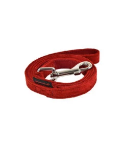 AL1661 Laisse Façon Peau Peche Wine Puppia