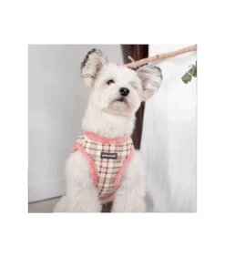 HA7640 Harnais Fourré Aline Rose Pinkaholic -Animaux Amour Promos Boutique al7640 laisse aline marron pinkaholic 1 2