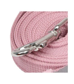 AL7726 Laisse En Nylon Rose Avec Poignée Imprimé Fleuri Gris Calla Pinkaholic -Animaux Amour Promos Boutique al7726 laisse en nylon rose avec poignee imprime fleuri gris calla pinkaholic 3