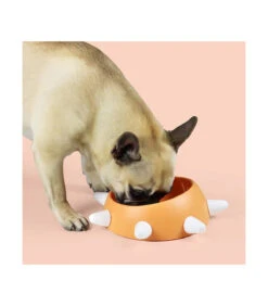 AV0101AR20 Gamelle Design Orange À Picots Blanc Boss United Pets