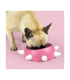 AV0101PE18 Gamelle Design Rose À Picots Blanc Boss United Pets