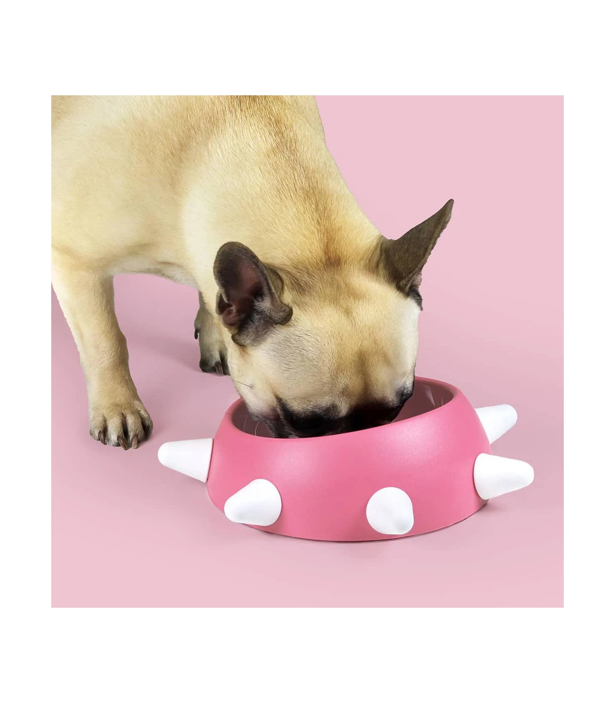 AV0101PE18 Gamelle Design Rose À Picots Blanc Boss United Pets 1 AV0101PE18 Gamelle Design Rose À Picots Blanc Boss United Pets