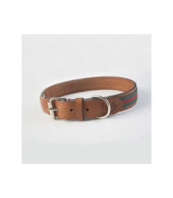 Collier Baseball Vert Buddys