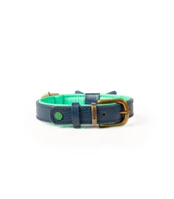 Collier En Cuir Bleu Canard Façon Lézard Buster Dwam -Animaux Amour Promos Boutique collier en cuir bleu canard facon lezard buster dwam 7