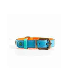 Collier En Cuir Bleu Et Surpiqure Orange Jones Dwam 13 Collier En Cuir Bleu Et Surpiqure Orange Jones Dwam -Animaux Amour Promos Boutique collier en cuir bleu et surpiqure orange jones dwam 3