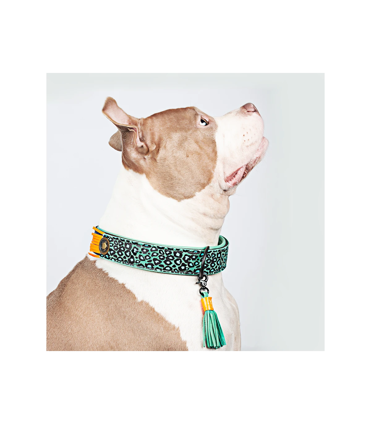 Collier En Cuir Blue Bird Dwam 2 Collier En Cuir Blue Bird Dwam – Image 2