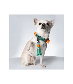 Collier En Cuir Blue Bird Dwam 14 Collier En Cuir Blue Bird Dwam -Animaux Amour Promos Boutique collier en cuir blue bird dwam 5