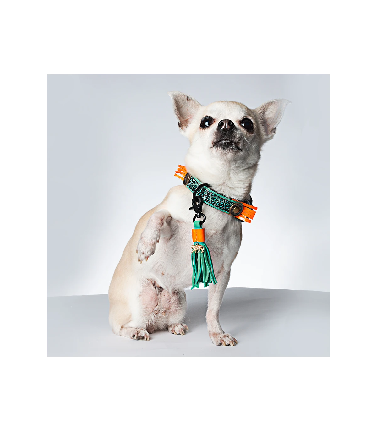 Collier En Cuir Blue Bird Dwam 6 Collier En Cuir Blue Bird Dwam – Image 6