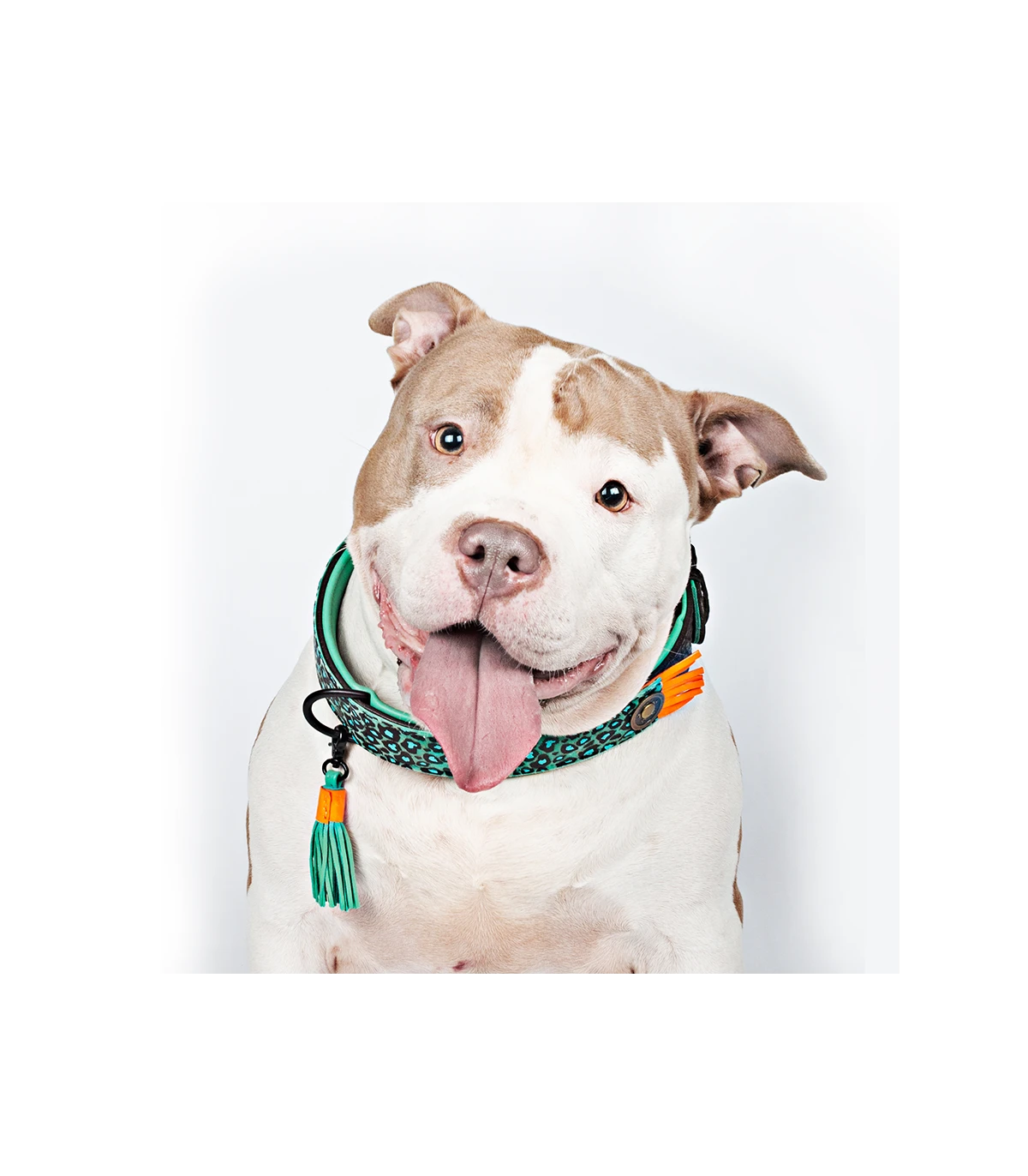 Collier En Cuir Blue Bird Dwam 9 Collier En Cuir Blue Bird Dwam – Image 9