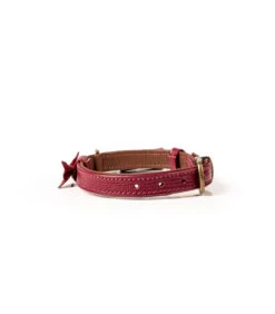Collier En Cuir Bordeaux Façon Lézard Bonnie Dwam 18 Collier En Cuir Bordeaux Façon Lézard Bonnie Dwam -Animaux Amour Promos Boutique collier en cuir bordeaux facon lezard bonnie dwam 8