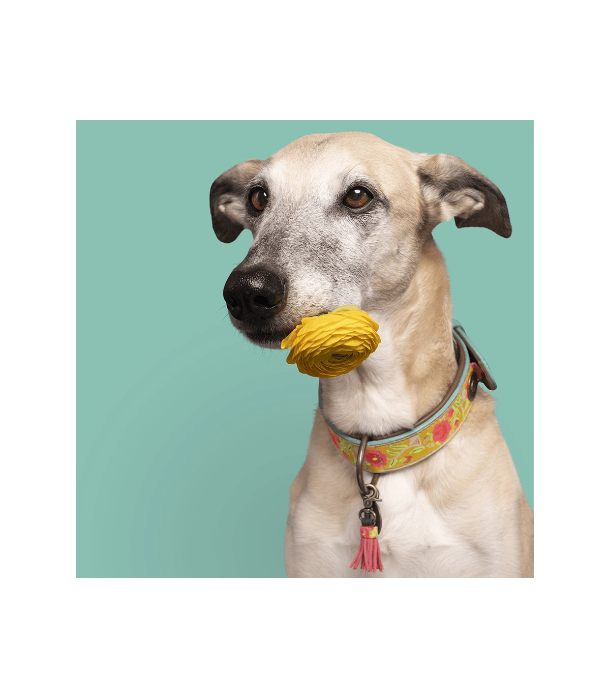 Collier En Cuir Et Galon Fleuri Jaune Lotus Dwam 4 Collier En Cuir Et Galon Fleuri Jaune Lotus Dwam – Image 4