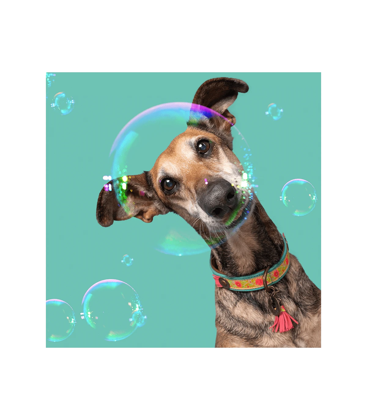 Collier En Cuir Et Galon Fleuri Jaune Lotus Dwam 5 Collier En Cuir Et Galon Fleuri Jaune Lotus Dwam – Image 5