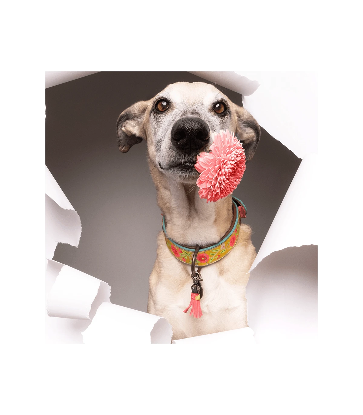 Collier En Cuir Et Galon Fleuri Jaune Lotus Dwam 7 Collier En Cuir Et Galon Fleuri Jaune Lotus Dwam – Image 7