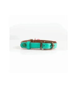 Collier En Cuir Et Galon Fleuri Jaune Lotus Dwam 19 Collier En Cuir Et Galon Fleuri Jaune Lotus Dwam -Animaux Amour Promos Boutique collier en cuir et galon fleuri jaune lotus dwam 9