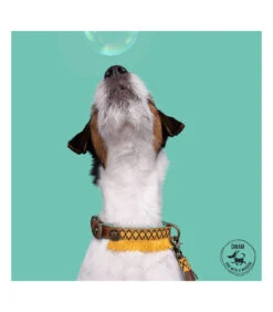 Collier En Cuir Et Passementerie Jaune Oak Dwam -Animaux Amour Promos Boutique collier en cuir et passementerie jaune oak dwam 8