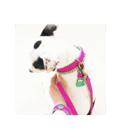 Collier En Cuir Lollypop Dwam -Animaux Amour Promos Boutique collier en cuir lollypop dwam 3