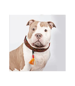 Collier En Cuir Red Robin Dwam -Animaux Amour Promos Boutique collier en cuir red robin dwam 7