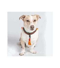 Collier En Cuir Red Robin Dwam -Animaux Amour Promos Boutique collier en cuir red robin dwam 8