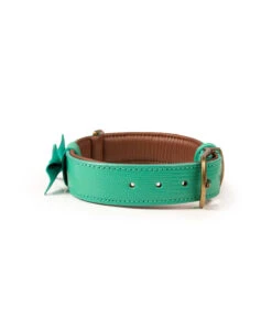 Collier En Cuir Vert D'eau Façon Lézard Boomer Dwam -Animaux Amour Promos Boutique collier en cuir vert d eau facon lezard boomer dwam 2