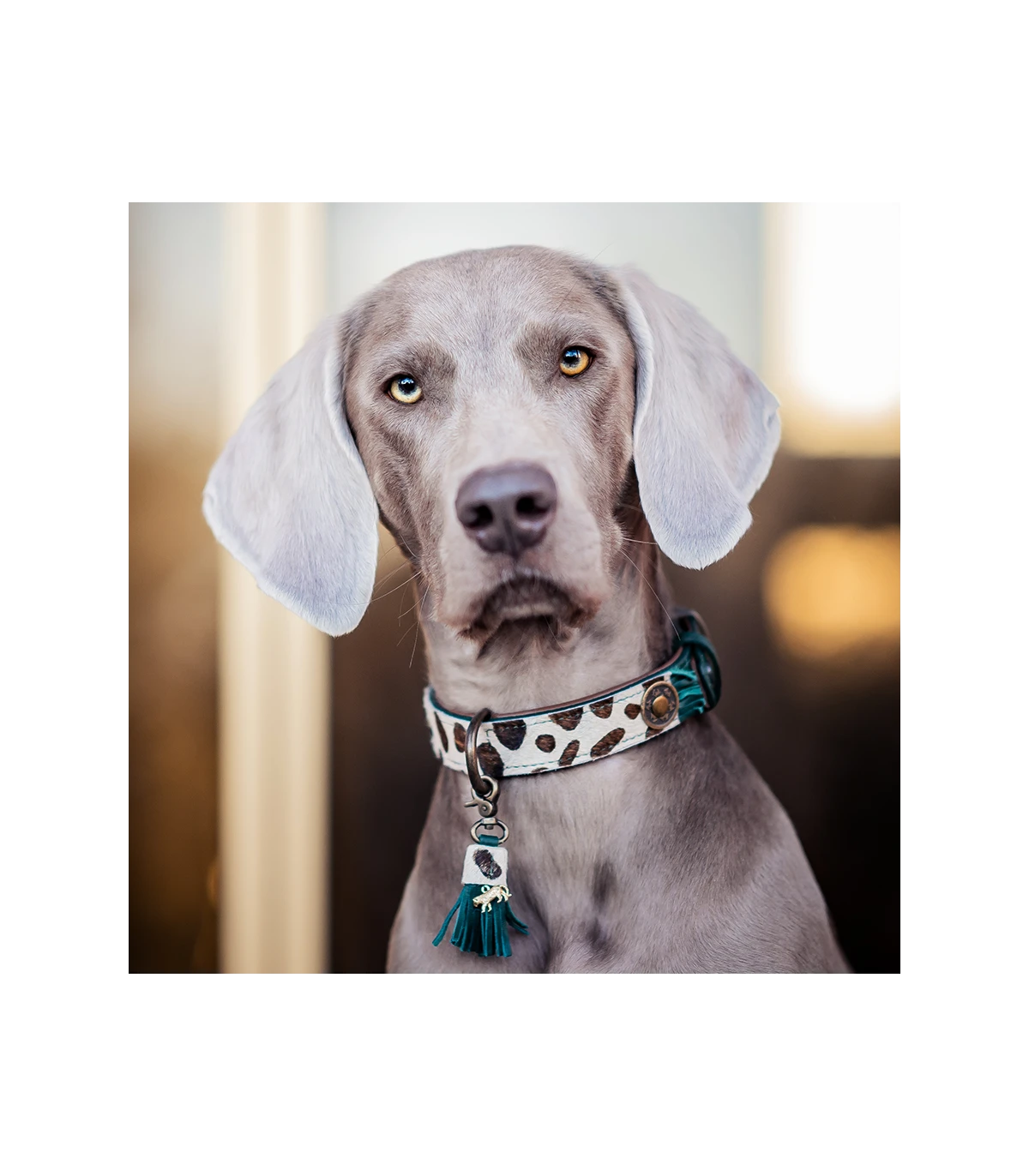 Collier En Cuir Yvi Collar Dwam 3 Collier En Cuir Yvi Collar Dwam – Image 3