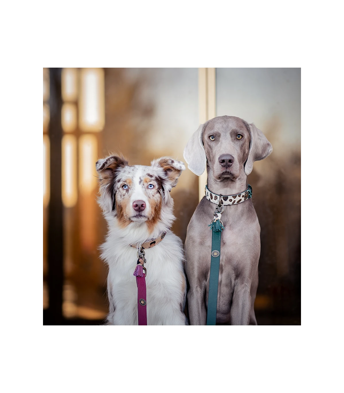 Collier En Cuir Yvi Collar Dwam 8 Collier En Cuir Yvi Collar Dwam – Image 8