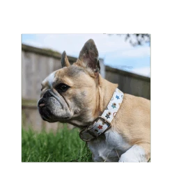 Collier En Simili Cuir Blanc Monogramme Chewy Multicolor Catwalk 7 Collier En Simili Cuir Blanc Monogramme Chewy Multicolor Catwalk -Animaux Amour Promos Boutique collier en simili cuir monogramme blanc catwalk 1 3