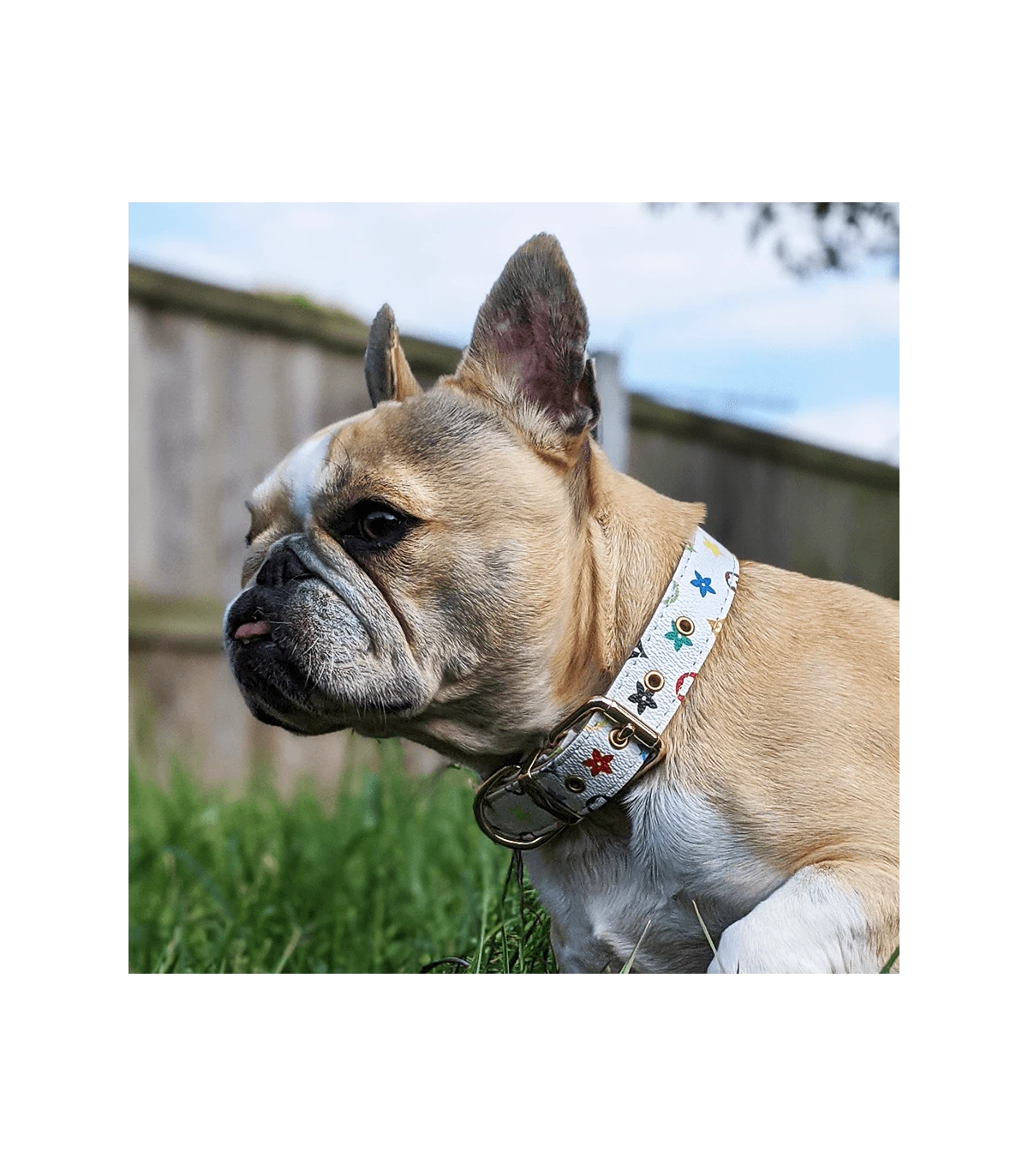 Collier En Simili Cuir Blanc Monogramme Chewy Multicolor Catwalk 4 Collier En Simili Cuir Blanc Monogramme Chewy Multicolor Catwalk – Image 4