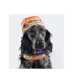 Collier En Cuir Et Perles Sweet Mae Dwam 7 Collier En Cuir Et Perles Sweet Mae Dwam -Animaux Amour Promos Boutique collier sweet mae dwam 3