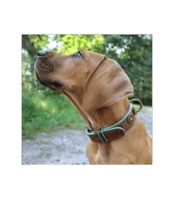 Collier Urban Dwam -Animaux Amour Promos Boutique collier urban dwam 5