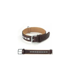 DA011 Collier Cuir Texas Camon Brown