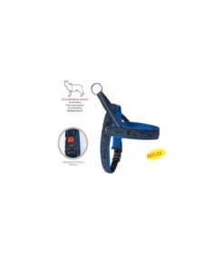 DC195 Harnais Néopréne Dynamic Camon Blue